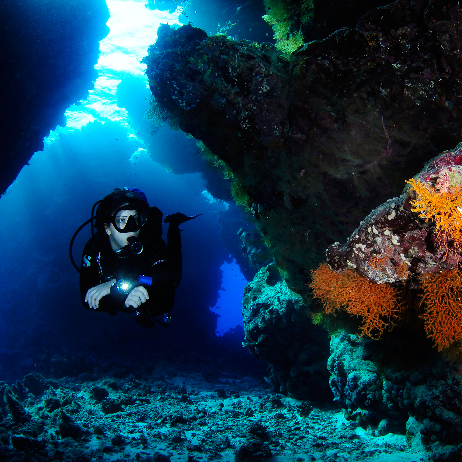 Under Pressure Diveclub Attersee - Tauchen im Meer